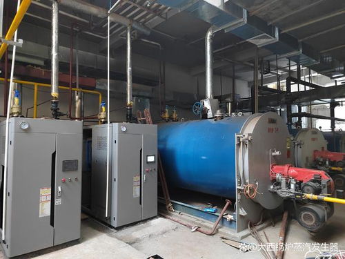 合规免检又环保 1吨燃气蒸汽发生器如何替代传统锅炉，助力输变配电监测升级